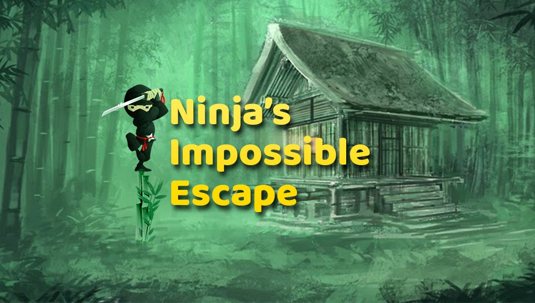 Ninja's Impossible Escape
